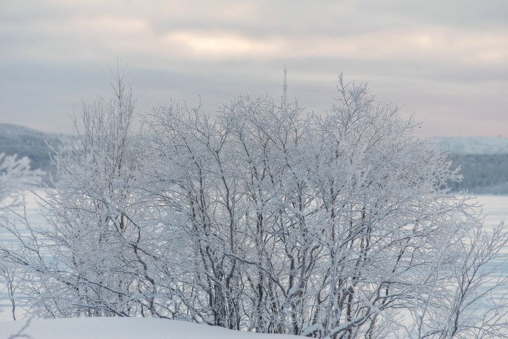 Photograph by Марина Зборацкая