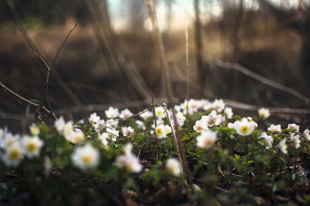 Photograph by Евгений Адуцкевич