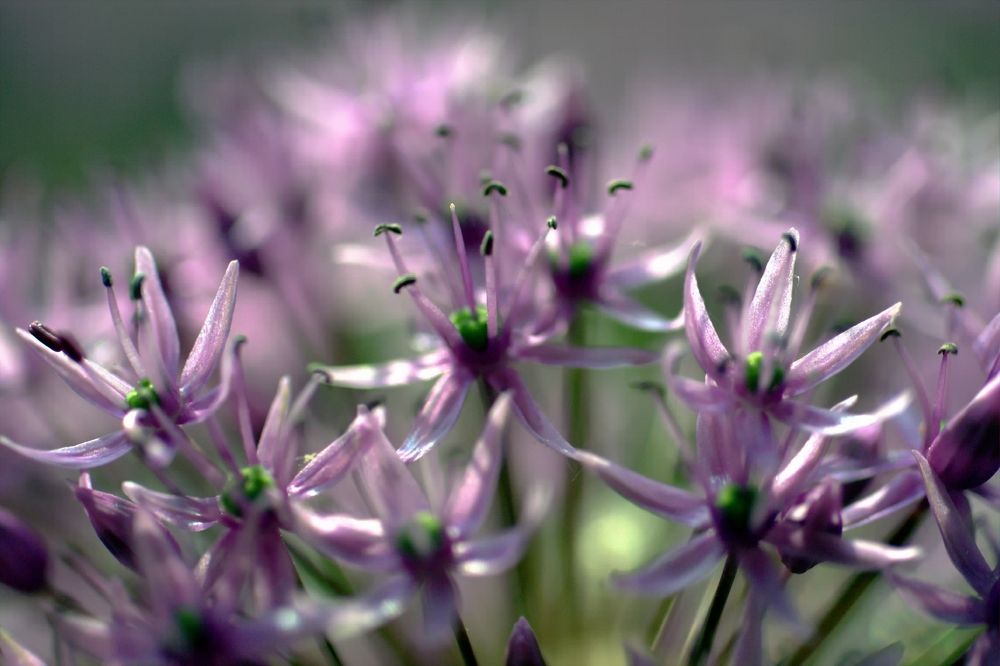 Photograph by Марина Моссий