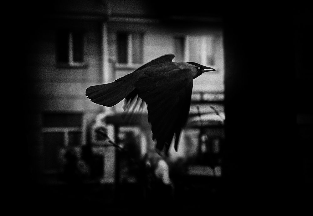 Фотография автора Наталья Новикова