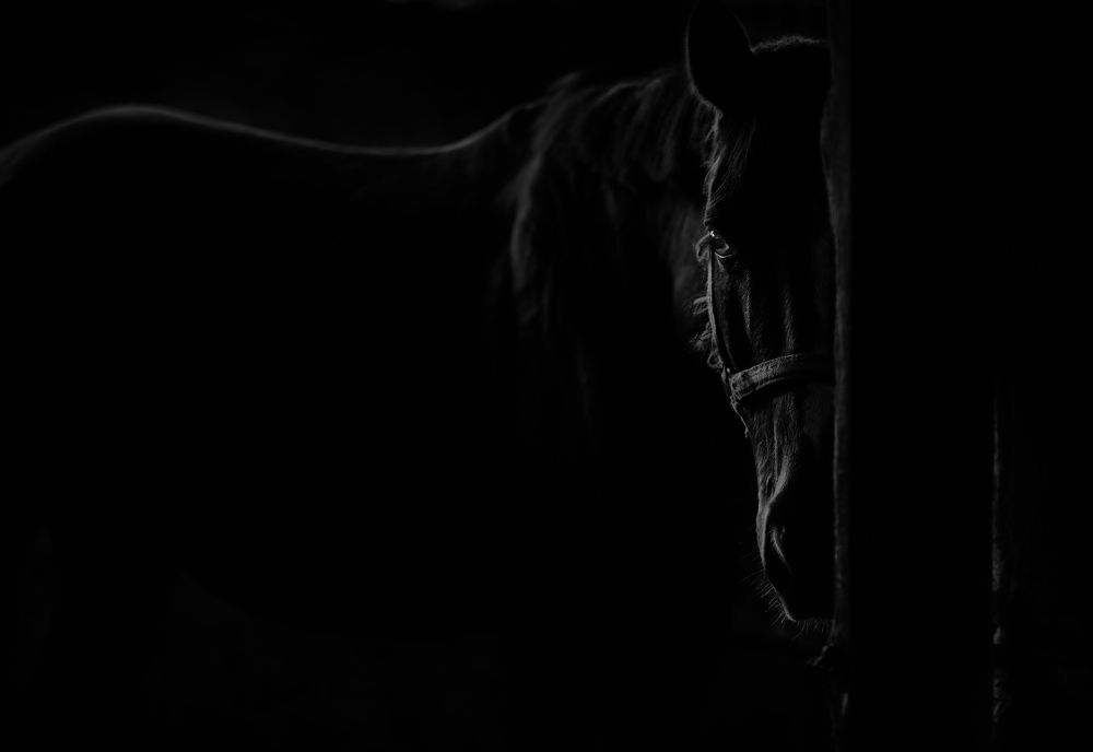 Photograph by Наталья Новикова