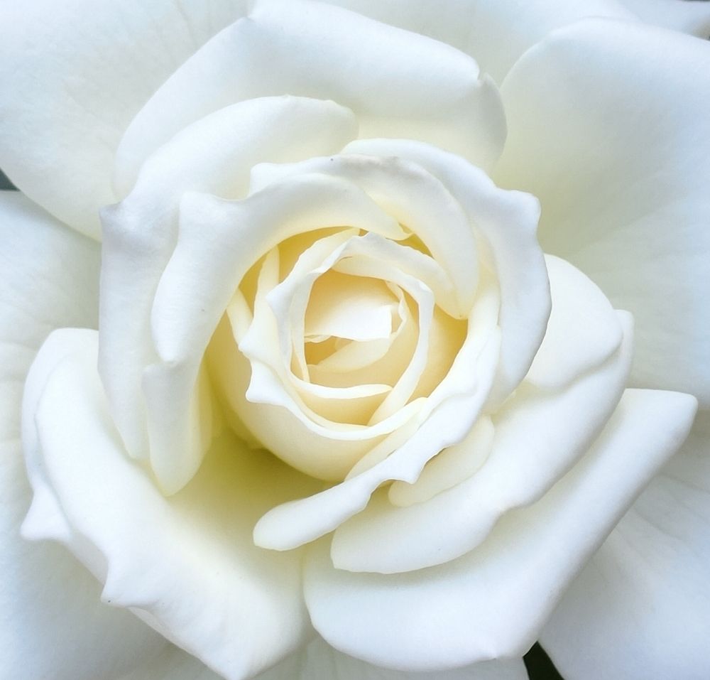 Photograph by Kaouche Mohamed