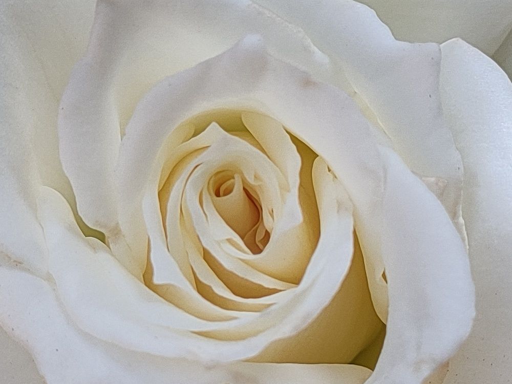 Photograph by Kaouche Mohamed