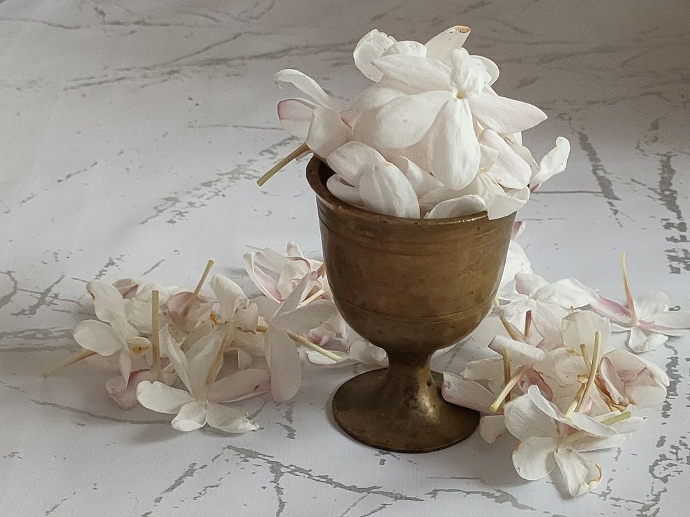 Photograph by Kaouche Mohamed