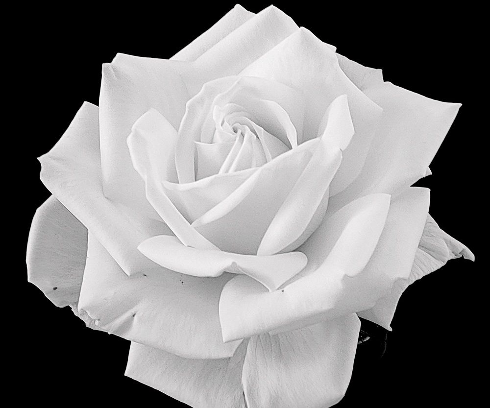 Photograph by Kaouche Mohamed