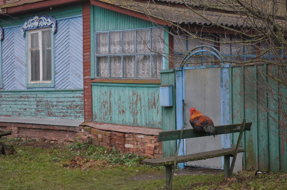 Photograph by Галина Лысых