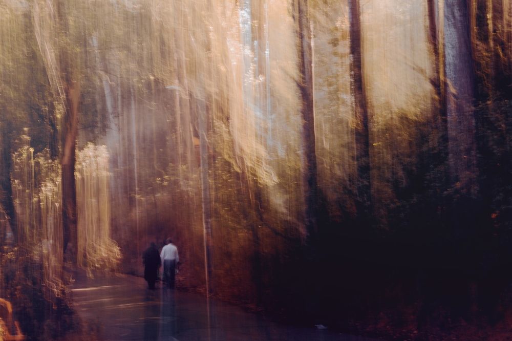 Photograph by Sahar