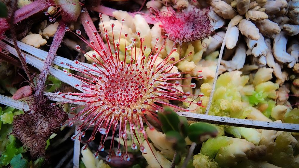 Photograph by Филиппов Олег