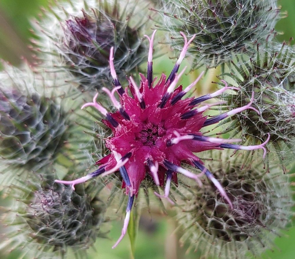 Photograph by Nataliya Kalinina