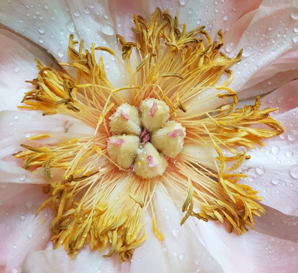 Photograph by Nataliya Kalinina