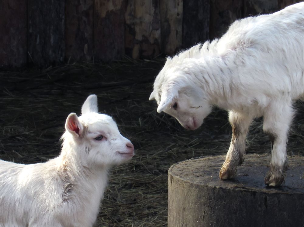 Photograph by Виктор Карпухин