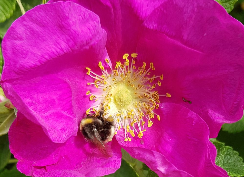 Photograph by Nataliya Kalinina