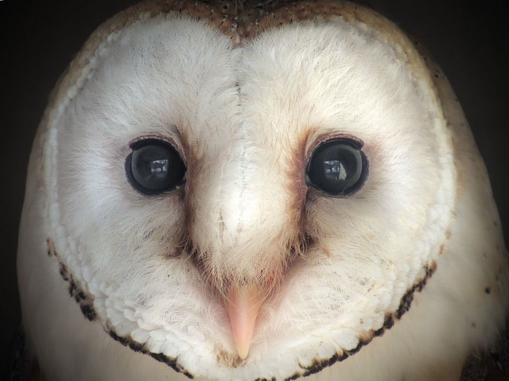 Photograph by Виктор Карпухин