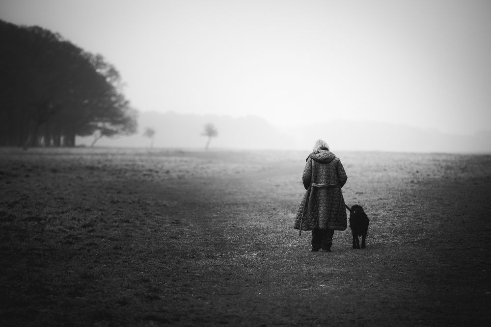 Photograph by Petrov Ivaylo