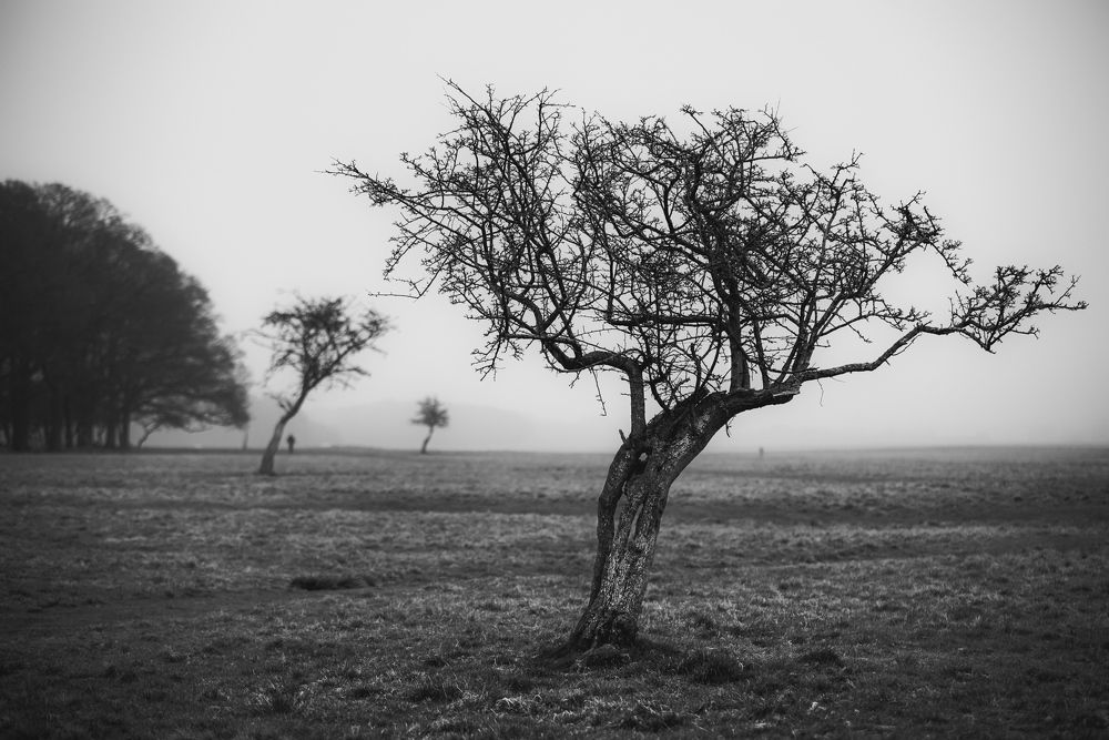 Photograph by Petrov Ivaylo