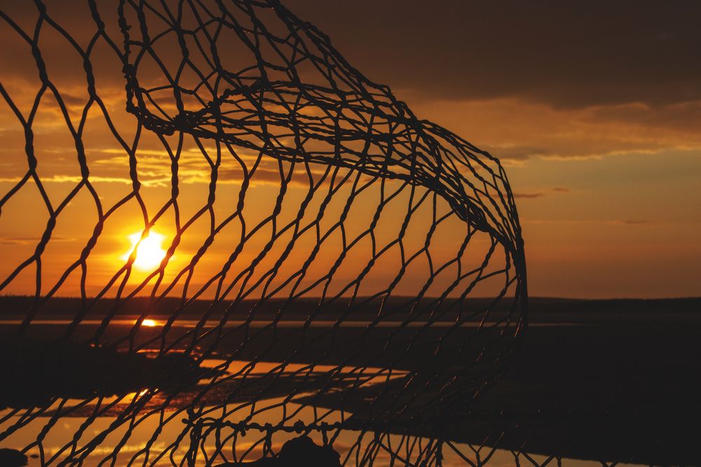 Photograph by Виктория Браун