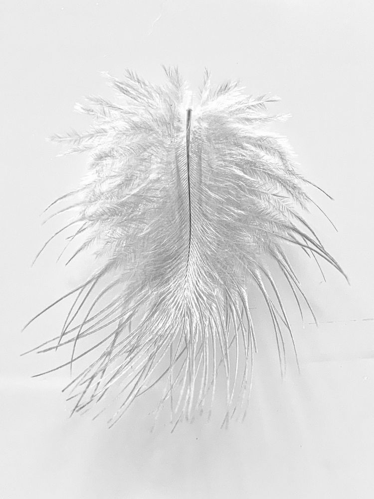 Photograph by Елена Макуха