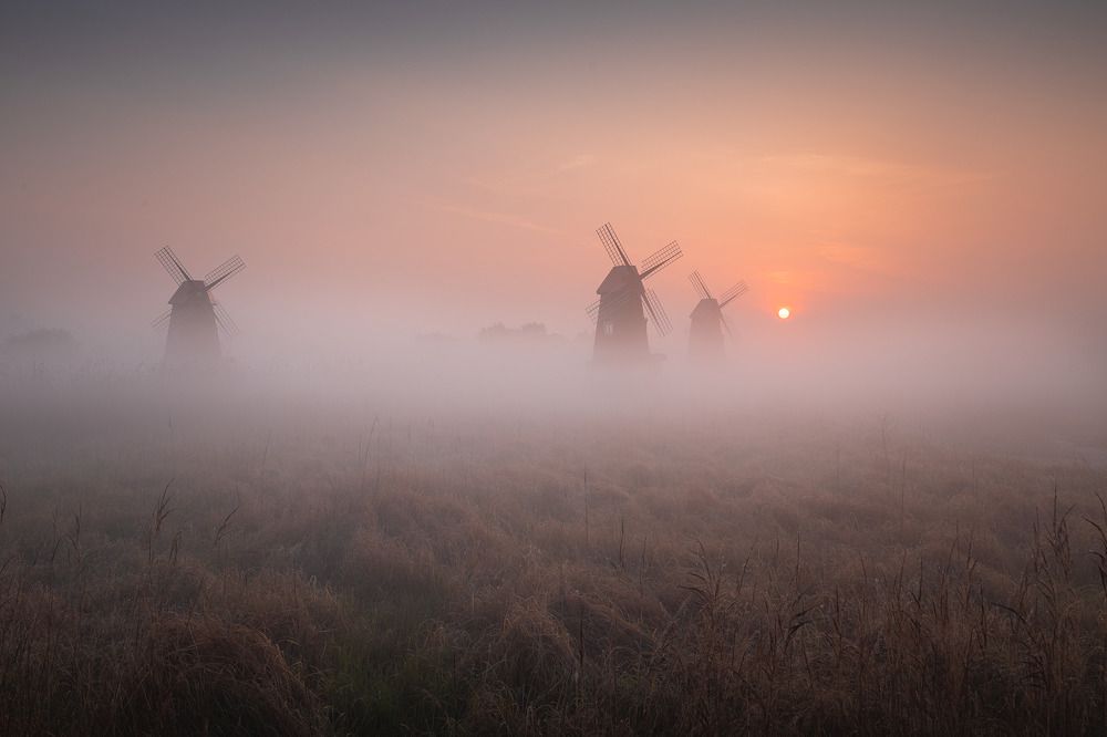 Фотография автора NGUYEN NGOC SON