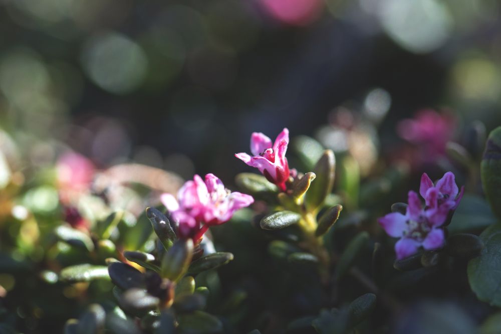 Photograph by Виктория Браун