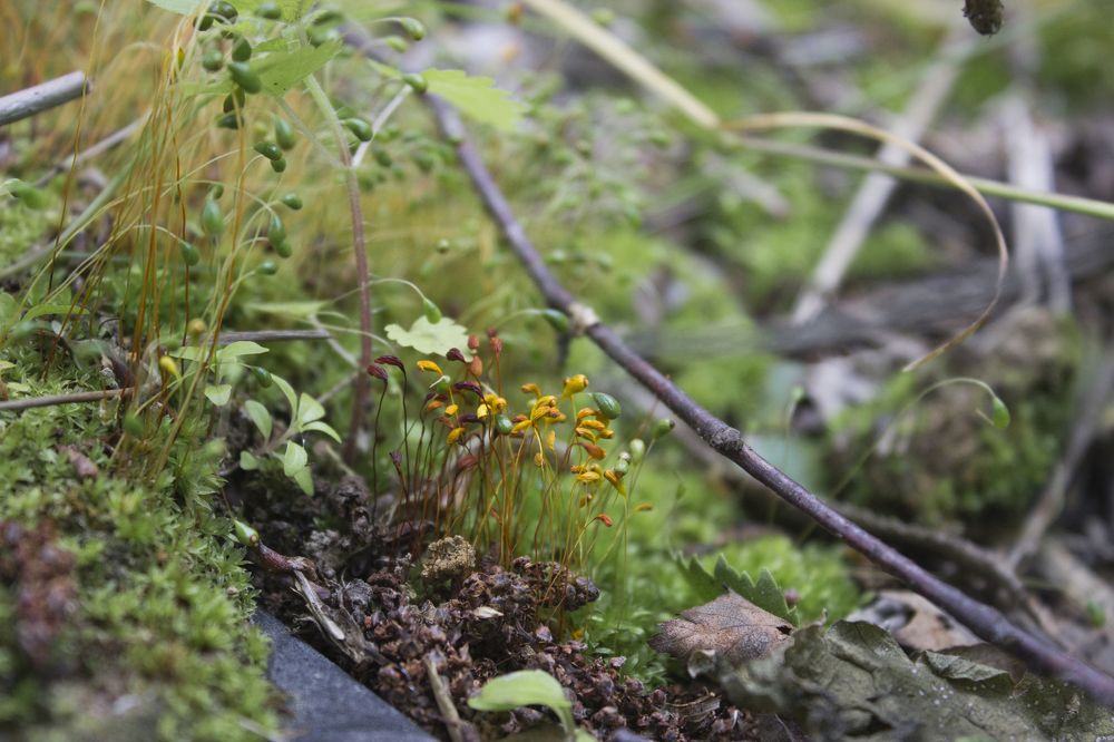 Photograph by Виктория Браун