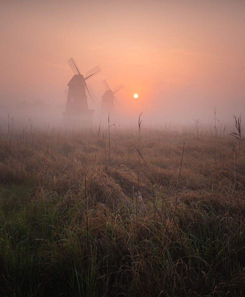 Фотография автора NGUYEN NGOC SON