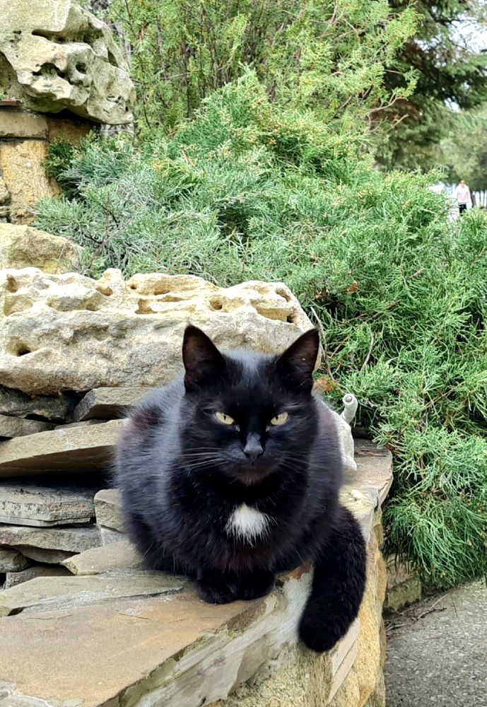 Внимательный взгляд