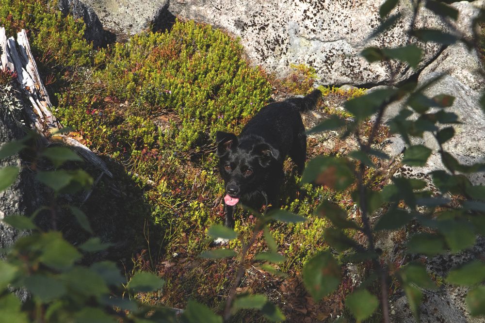 Photograph by Виктория Браун