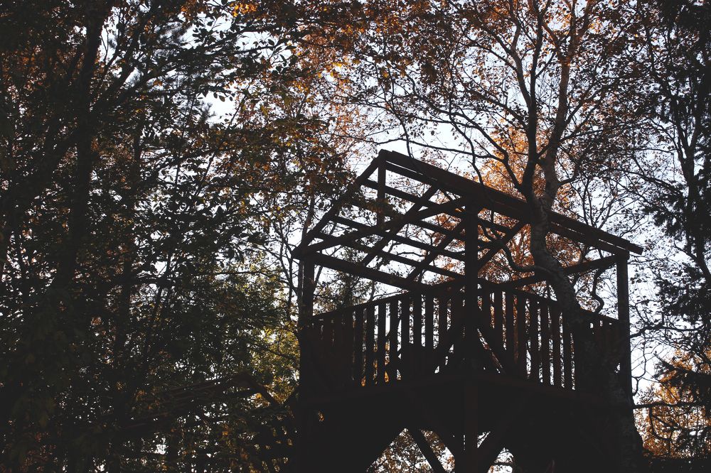 Photograph by Виктория Браун