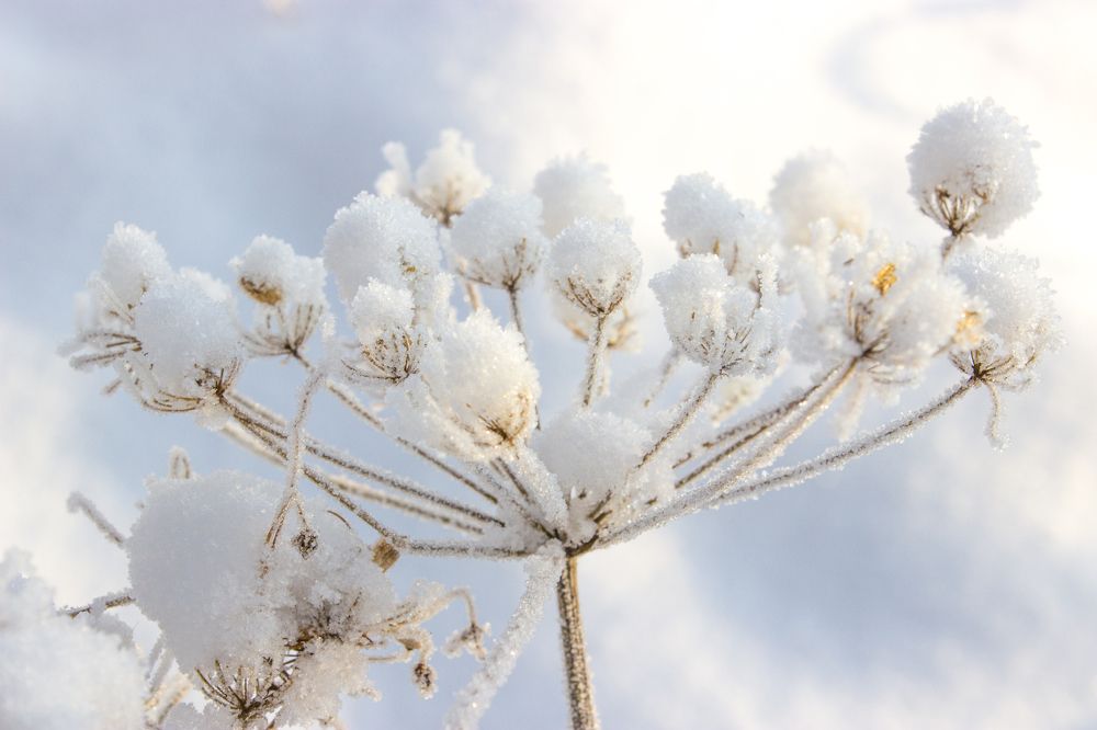 Photograph by Виктория Браун