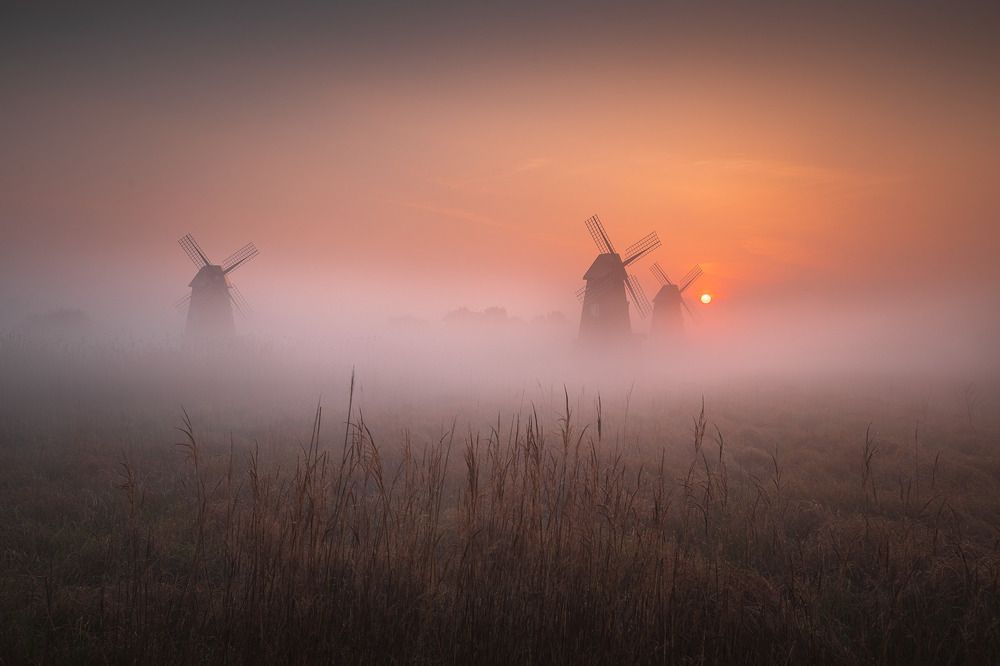 Фотография автора NGUYEN NGOC SON