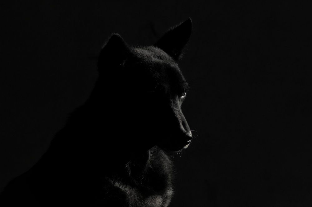 Photograph by Pheap Sophinh