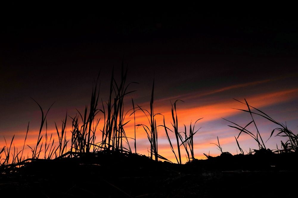 Photograph by Pheap Sophinh