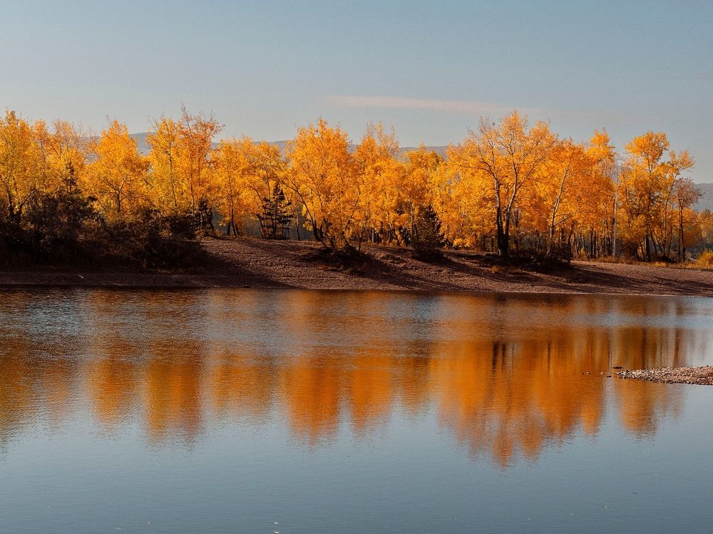 Photograph by Rogozina Olga