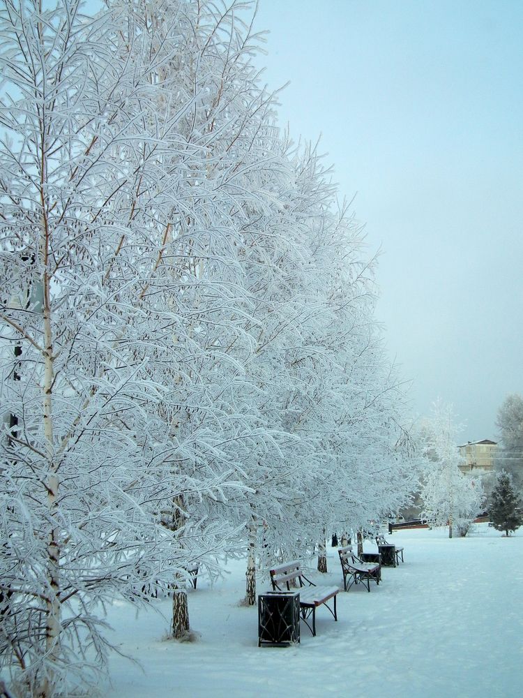 Photograph by Анна Ермилова
