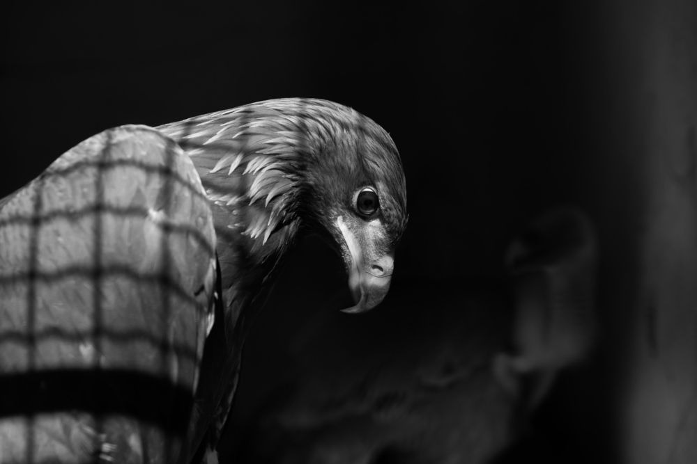 Photograph by KRITER AHMED