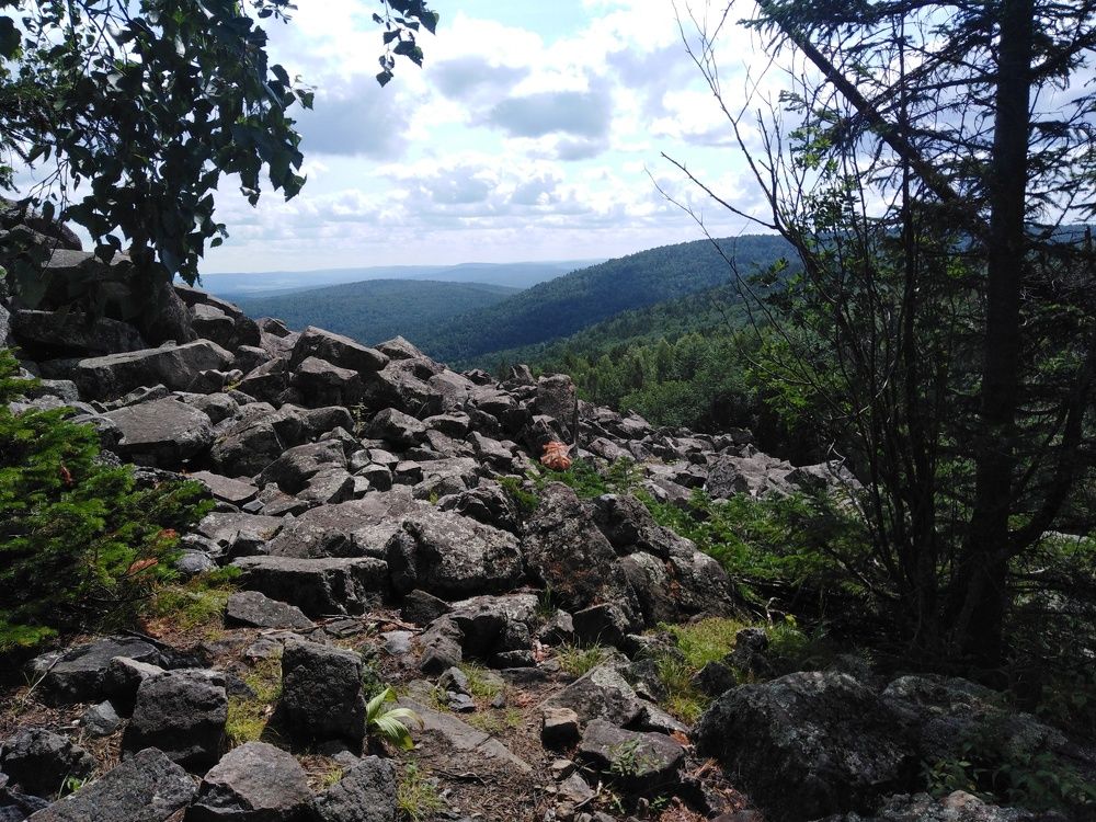 Photo #9530846