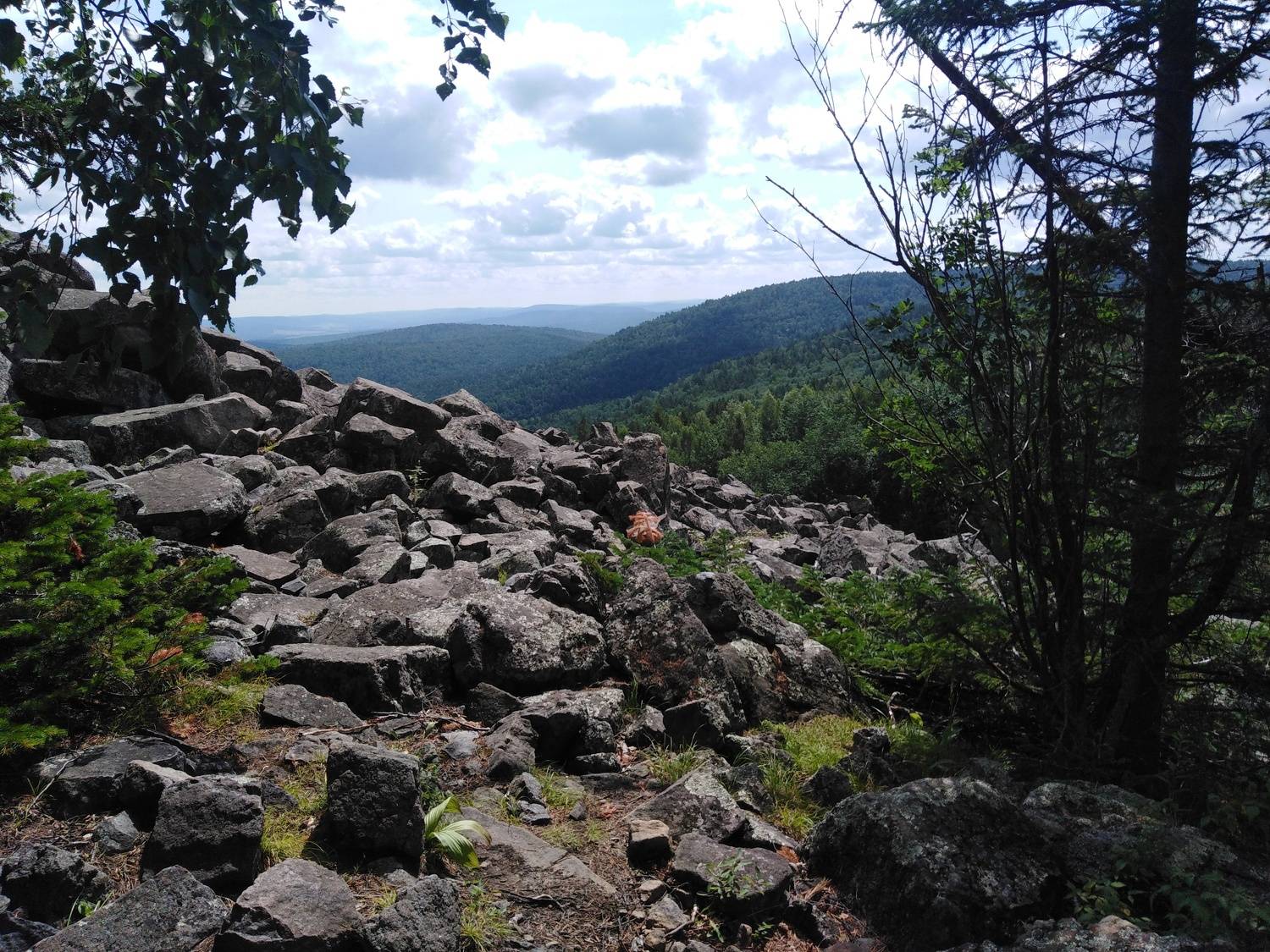 Photo #9530846