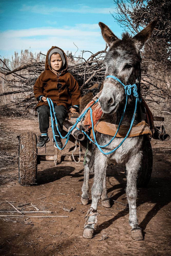 Фотография автора khaled zerfaoui