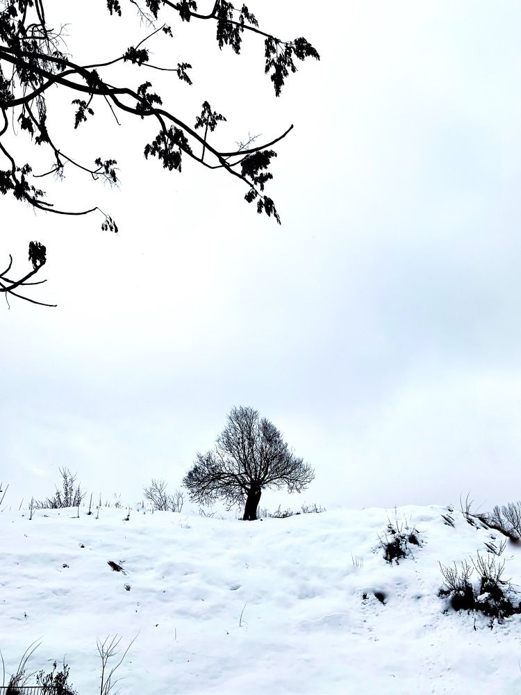 Photograph by Mohammad Aamir