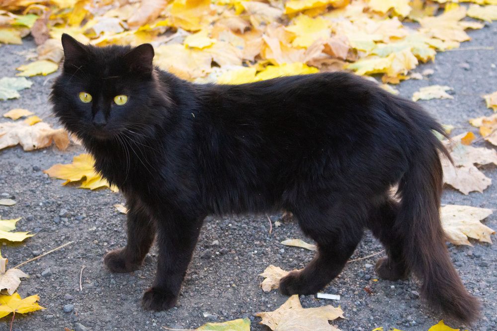 Photograph by Алексей Борисов