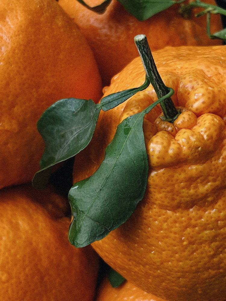 Фотография автора Александра Евченко