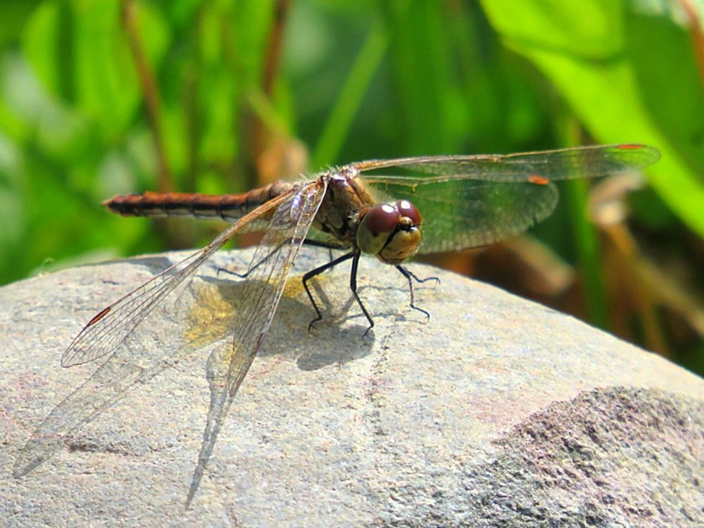 Photograph by Елена Кузина