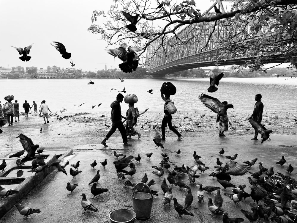 Photograph by BIPLAB MISRA