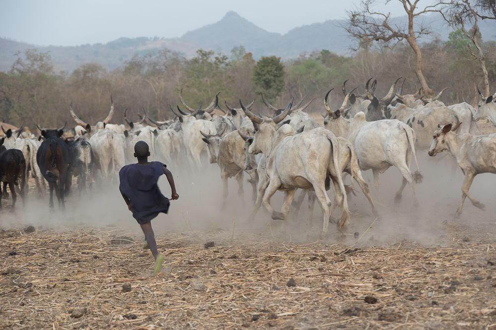 Photograph by Марина Маликова