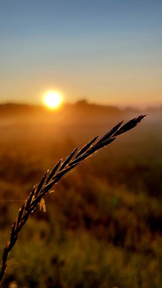 Фотография автора Виталий Петров