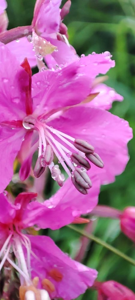 Photograph by Евгений Захаров