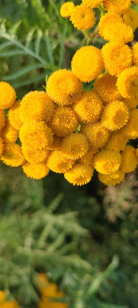 Photograph by Евгений Захаров