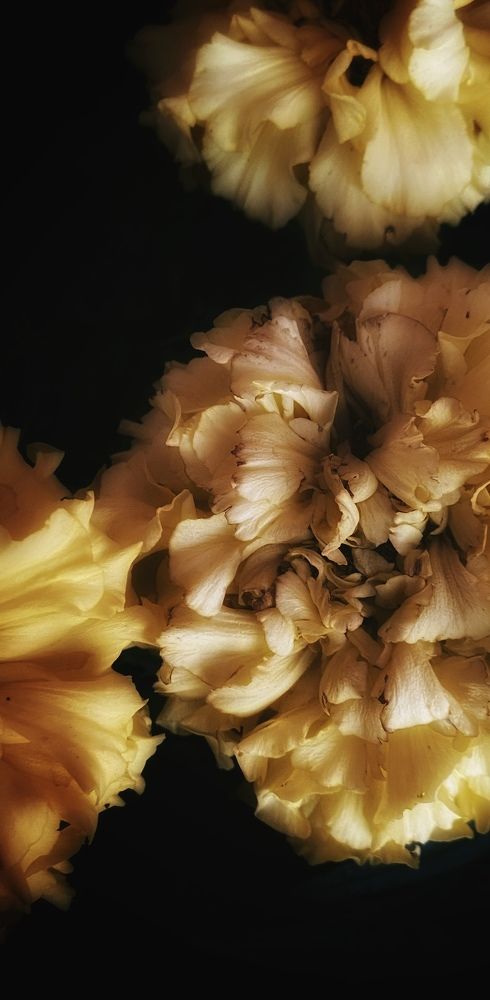 Фотография автора Алёна