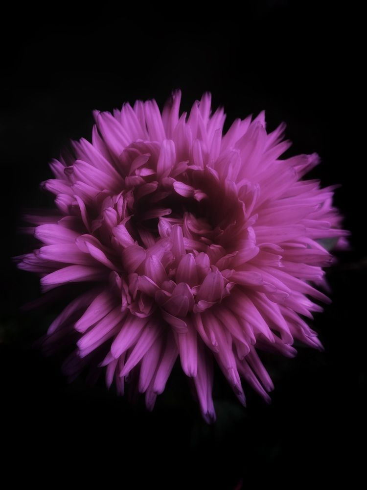 Фотография автора Алёна