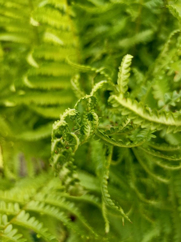 Фотография автора Татьяна Шахова